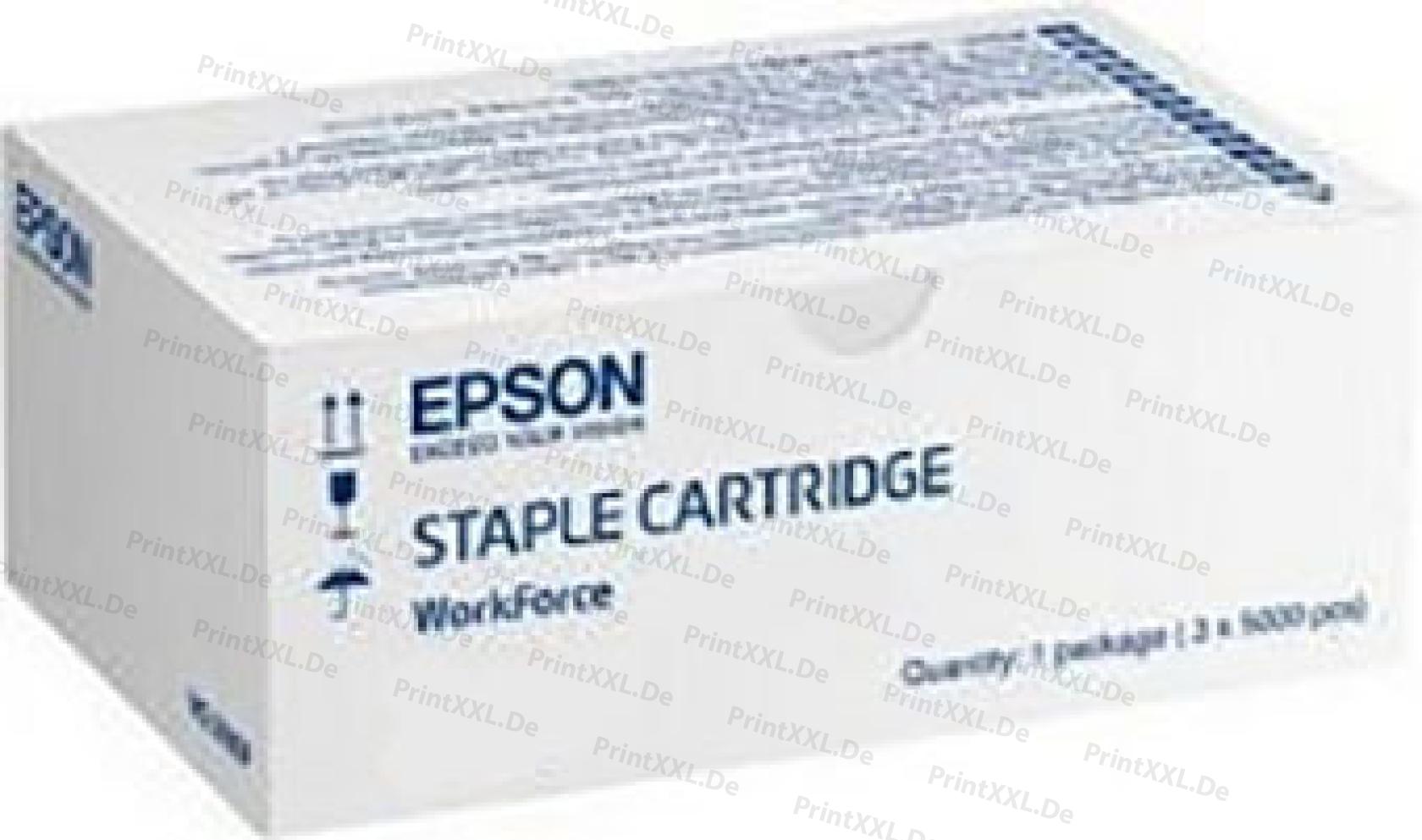 C13S210061