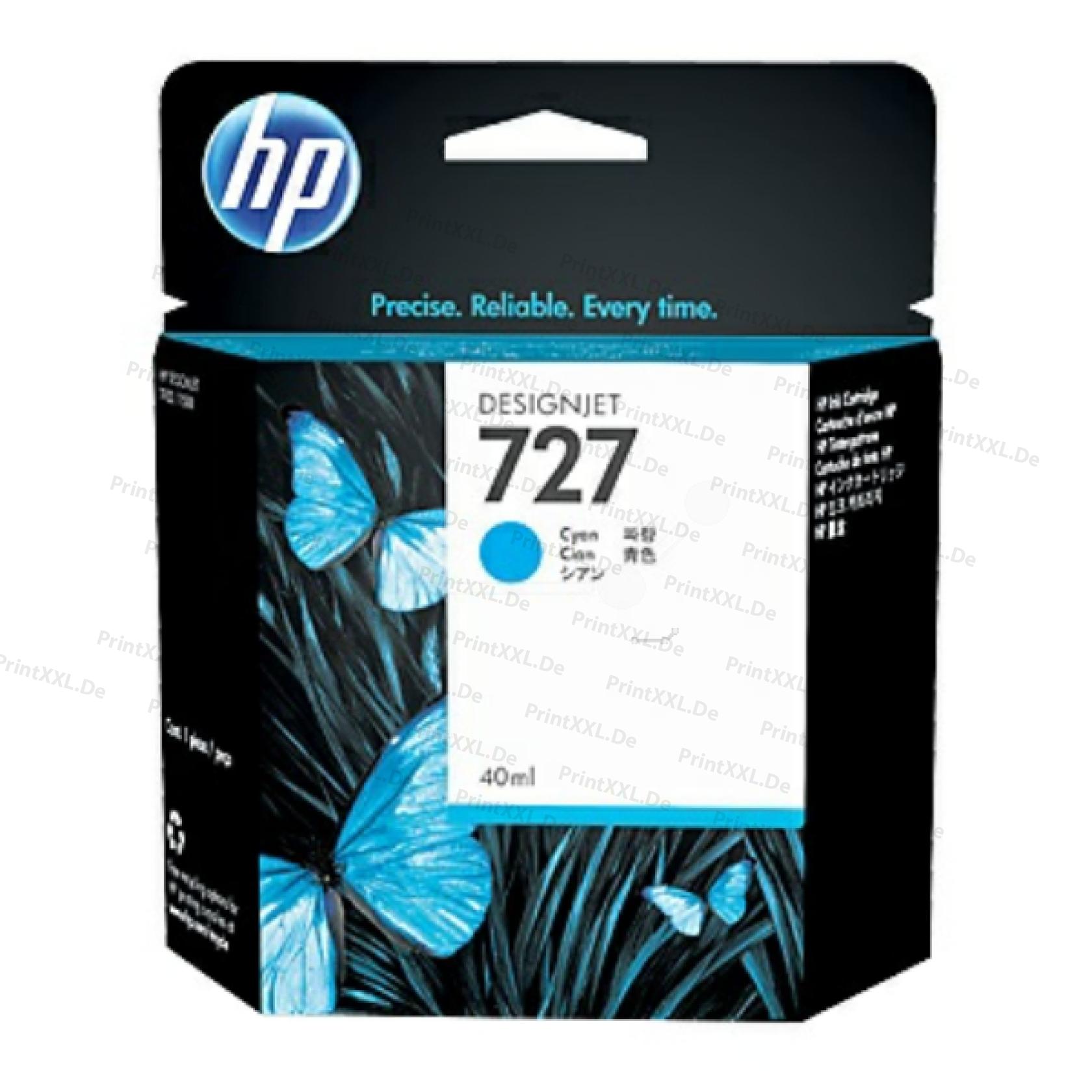 B3P13A
