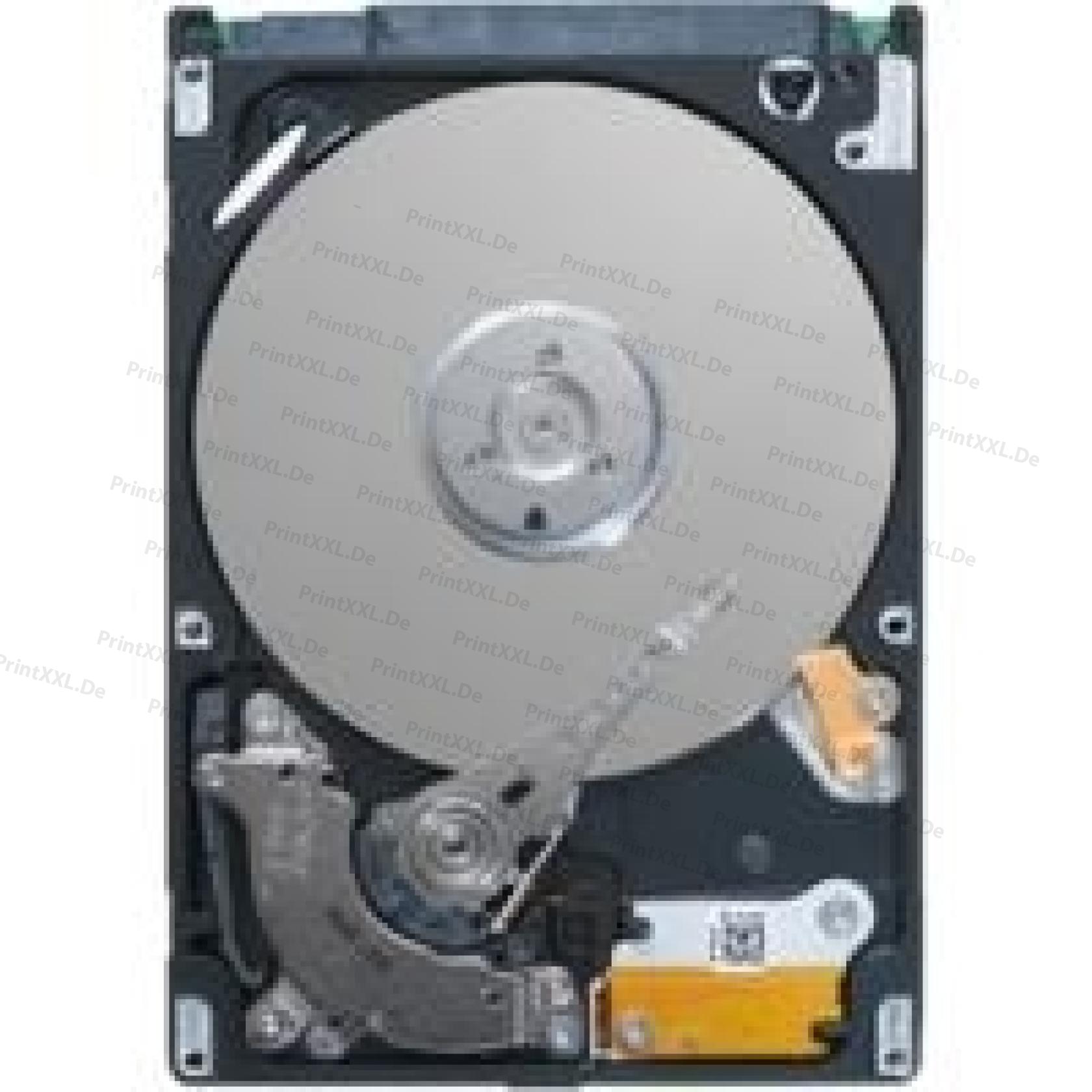 ST980310AS