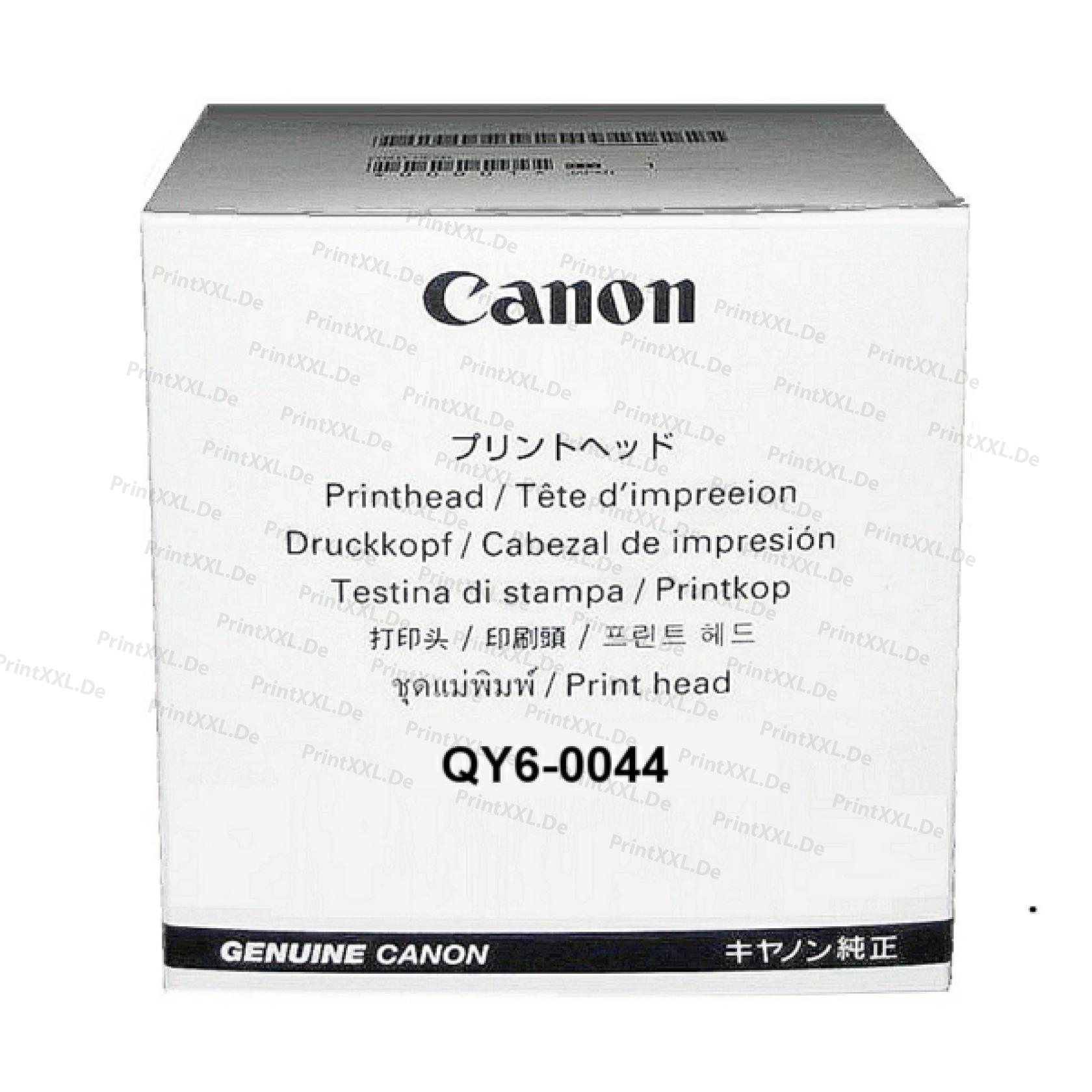QY6-0044