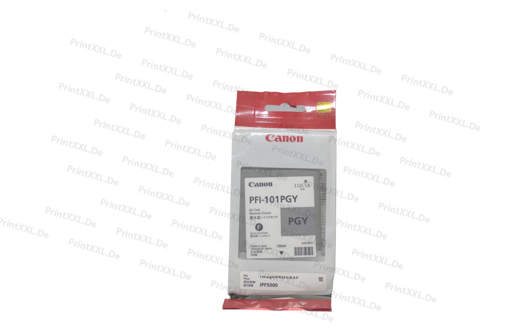 PFI-101PGY
