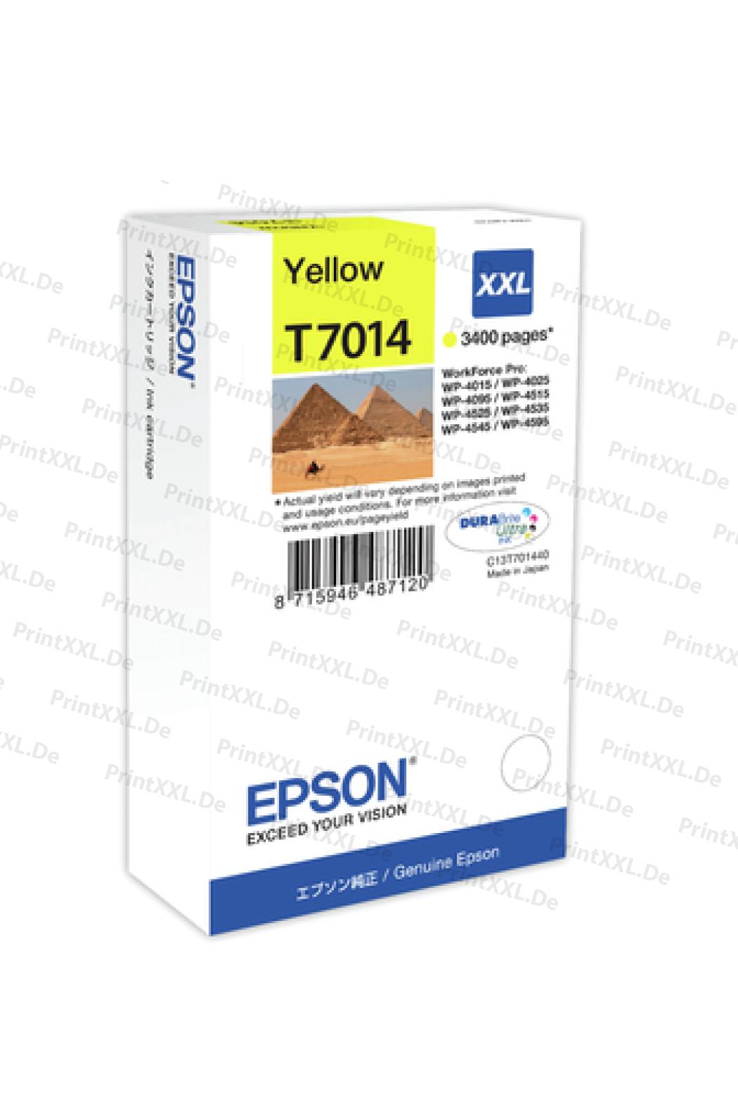 T70144010