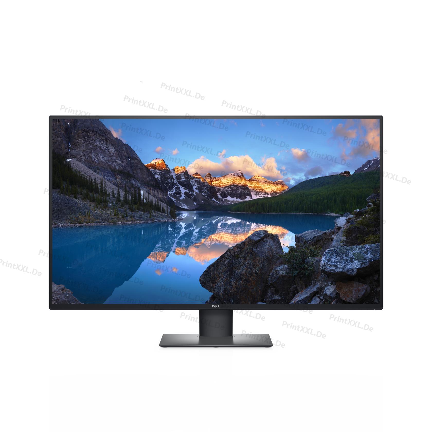 DELL-U4320Q