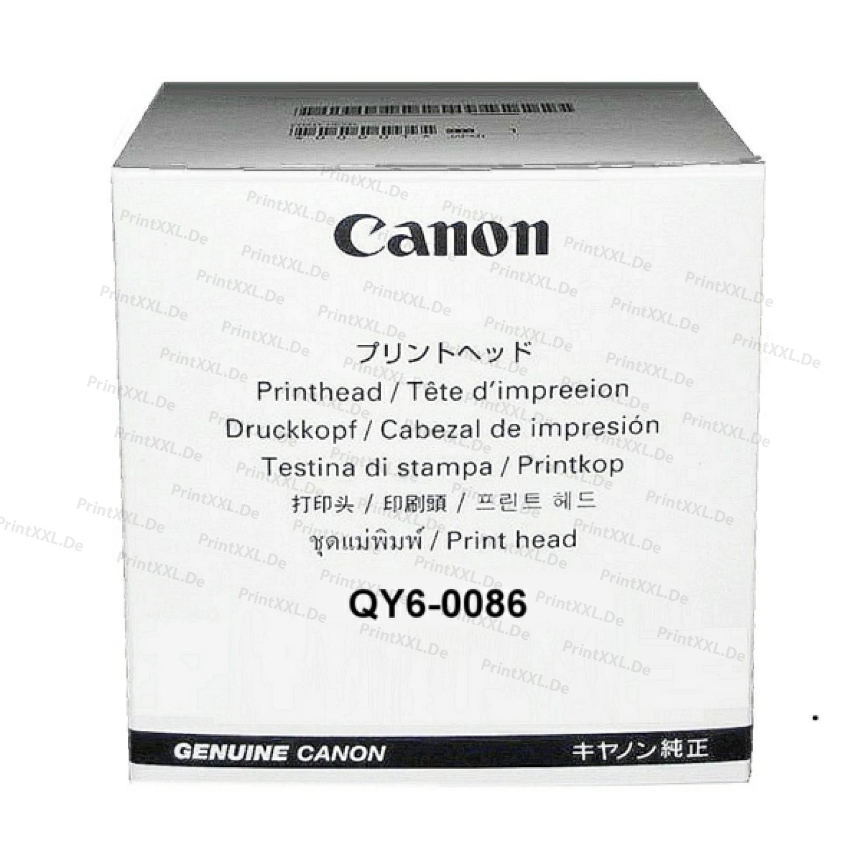 QY6-0086