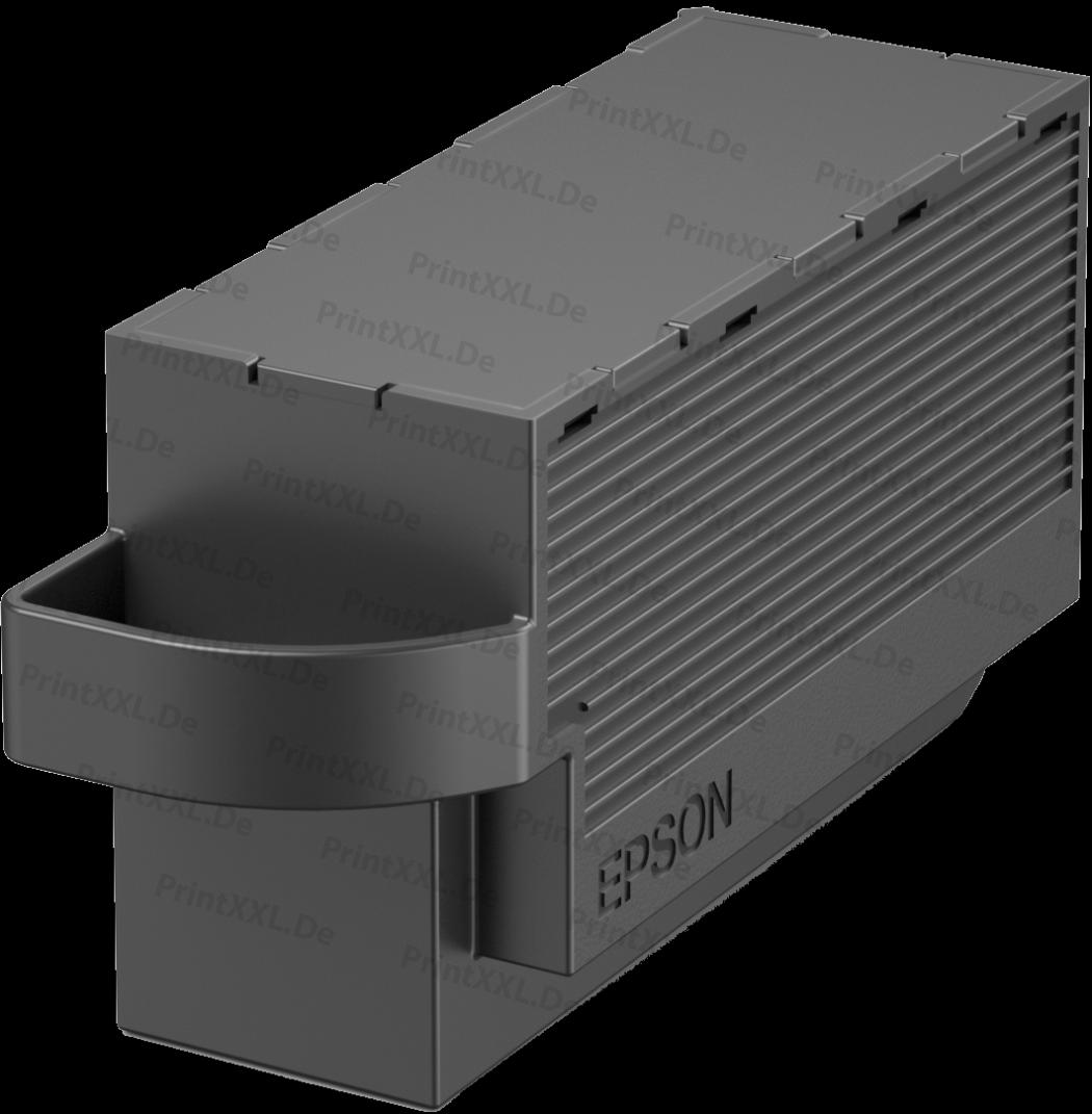 C13T366100